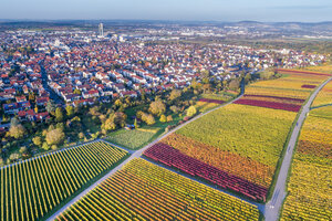 Deutschland, Stuttgart, Luftaufnahme der Weinberge am Kappelberg im Herbst - STSF01368