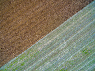 Italy, Umbria, Gubbio, Aerial view of fields in the countryside in Autumn - LOMF00668