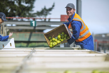 Arbeiter in Warnweste beim Verpacken von Äpfeln - ZEF14679