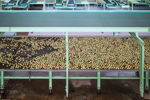 Äpfel in der Fabrik werden gewaschen, lizenzfreies Stockfoto