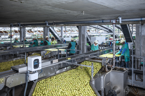 Menschen, die in einer Apfelfabrik arbeiten, lizenzfreies Stockfoto