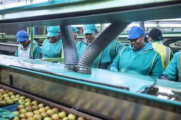 Frauen arbeiten in einer Apfelfabrik - ZEF14695
