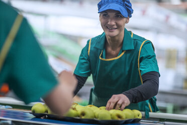 Woman working in apple factory - ZEF14702