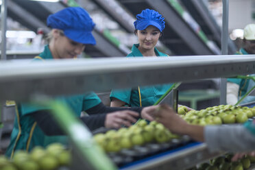 Zwei Frauen arbeiten in einer Apfelfabrik - ZEF14708