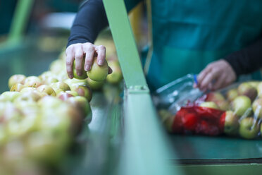 Close-up of woman packing apples in plastic bags in factory - ZEF14712