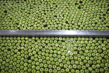 Grüne Äpfel in der Fabrik werden gewaschen - ZEF14719
