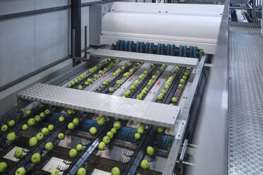Grüne Äpfel in der Fabrik werden sortiert - ZEF14723