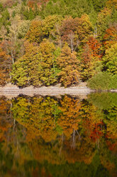 Deutschland, Herbst Wald, Wasser Reflexion - JTF00854