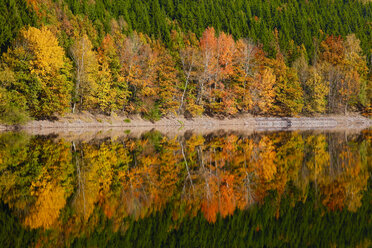 Deutschland, Herbst Wald, Wasser Reflexion - JTF00855