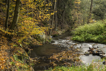 Germany, Thuringia, Ziegenrueck, mountain stream in autumn - MELF00190