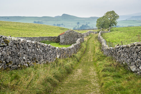 Great Britain, England, District Yorkshire Dales, field path at Catrigg Force - STSF01393