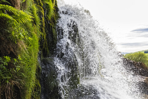 Großbritannien, Schottland, Schottische Highlands, Stirling, Dorf Fintry, Fluss Endrick, Loup of Fintry Wasserfall - FOF09465