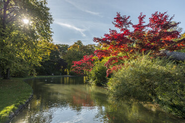 Deutschland, Bayern, München, Englischer Garten im Herbst - KEBF00681