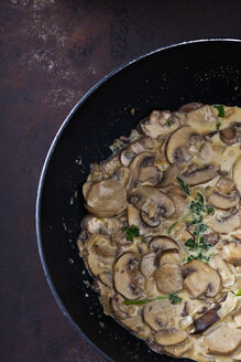 Frying pan of champignons in cream sauce - CSF28535