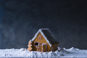 Gingerbread house - PPXF00132