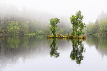 Großbritannien, Schottland, Schottische Highlands, Glencoe, Glencoe Lochan, Morgennebel - FOF09481