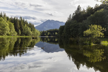 Großbritannien, Schottland, Schottische Highlands, Glencoe, Glencoe Lochan - FOF09495