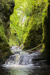 Großbritannien, Schottland, Trossachs National Park, Finnich Glen Canyon, The Devil's Pulpit, River Carnock Burn - FOF09499