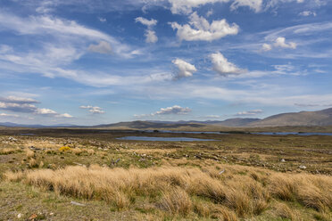 Großbritannien, Schottland, Schottische Highlands, Glencoe, Rannoch Moor, Loch Beinn Chaorach und Loch Ba - FOF09506