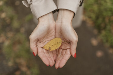 Woman's hands holding autumn leaf - KMKF00057