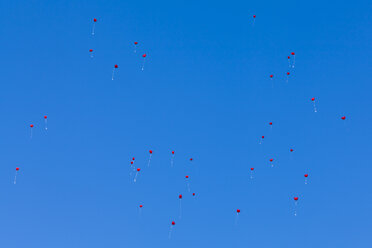 Rote Luftballons mit Postkarten fliegen in den Himmel - WDF04198