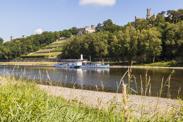 Germany, Dresen, Paddlesteamer on Elbe river passing the three Elbe Castles - WD04241