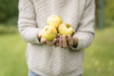 Close-up of woman holding apples in garden - JOSF01884