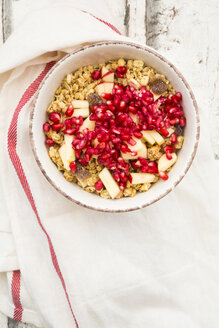 Schale Fruchtmüsli mit getrockneten Cranberries, Apfel und Granatapfelkernen - LVF06411