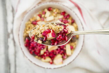 Spoon of fruit muesli with dried cranberries, apple and pomegranate seed - LVF06414