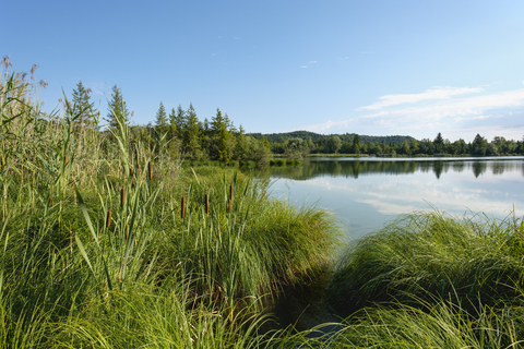 Deutschland, Bayern, Pupplinger Au, Naturschutzgebiet Isarauen, Icking Stausee, lizenzfreies Stockfoto