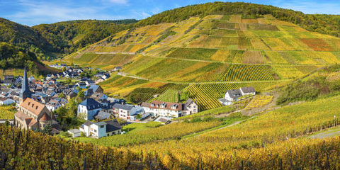 Deutschland, Rheinland-Pfalz, Eifel, Ahrtal, Mayschoss, Weinberg im Herbst, lizenzfreies Stockfoto