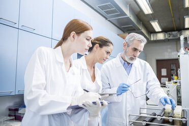 Three scientists in lab examining samples - WESTF23683