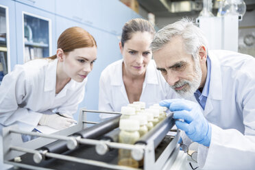 Three scientists in lab examining samples - WESTF23685