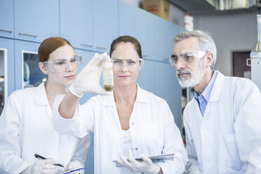 Three scientists in lab examining sample - WESTF23688