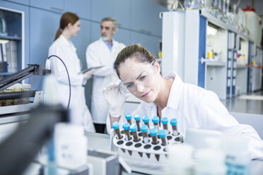 Scientist in lab examining samples - WESTF23693
