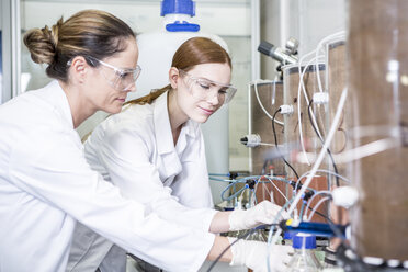 Two scientists working together in lab - WESTF23697