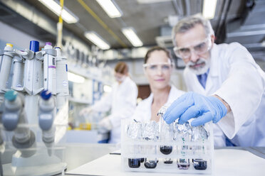 Scientists in lab examining samples - WESTF23708