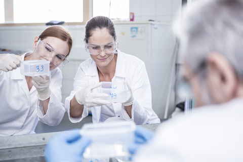 Scientists working together in rain lab stock photo