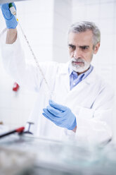 Scientist working in lab pipetting - WESTF23732