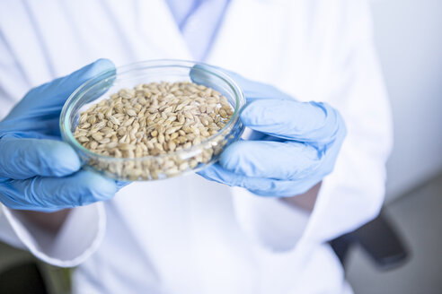 Wissenschaftlerin im Labor hält Getreideprobe in Petrischale - WESTF23742