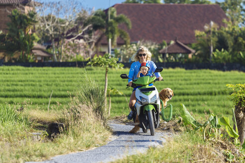 Frau mit Kind und Hund auf einem Motorroller auf einem Feldweg - KNTF00921