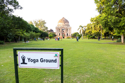 India, Delhi, New Delhi, Lodi gardens, meadow for yoga - NDF00690