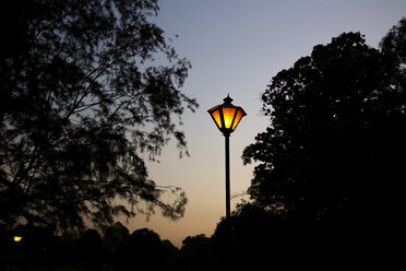 India, Delhi, New Delhi, Lodi gardens, park, lantern - NDF00693