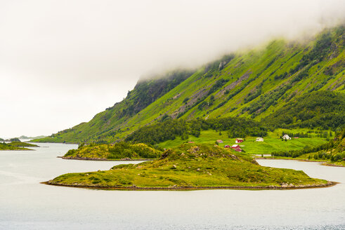 Norwegen, Nordland, Vestvagoey, Insel Lofoten - CSTF01503