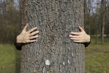 Hände einer Frau umarmen einen Baum im Wald - FCF01316