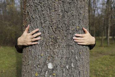 Hands of woman hugging a tree in forest - FCF01316