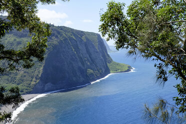 USA, Hawaii, Big Island, Küste des Waipio Valley - HLF01065