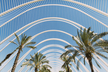 Spanien, Valencia, Ciudad de las Artes y de Las Ciencias, L'Umbracle, Palmengarten - JPF00288