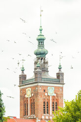 Poland, Pomerania, Gdansk, Town hall tower and seagulls - CSTF01530