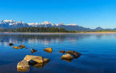 Deutschland, Bayern, Allgäu, Allgäuer Alpen, Hopfensee, Morgenstimmung - WGF01133